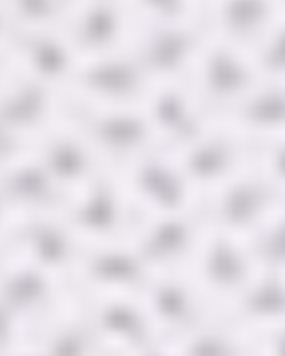 سفید خالدار